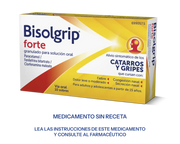 BISOLGRIP FORTE 10 SOBRES GRANULADO SOLUCION ORAL