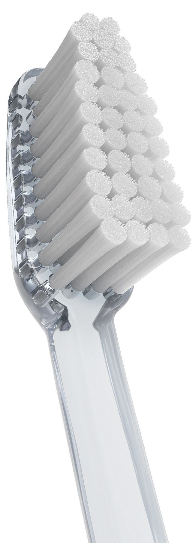 VITIS CEPILLO CIRUGÍA