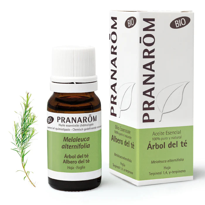 PRANAROM ACEITE ESENCIAL ARBOL DEL TE 1 ENVASE 10 ml