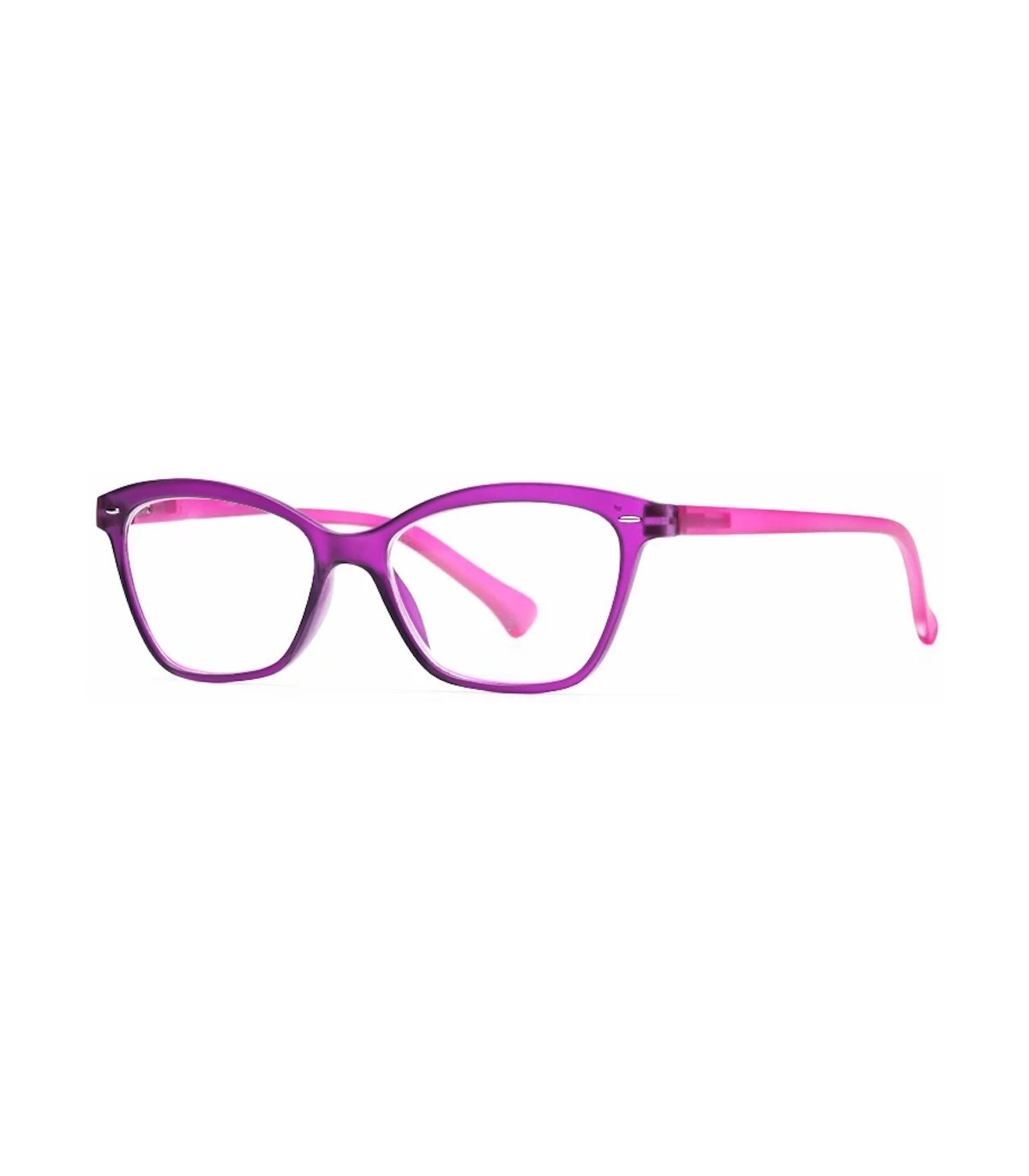 NORDIC VISION GAFAS PRESBICIA HELSINGBORG +2.50 DIOPTRIAS